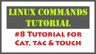 Linux Commands for Cat Tac and Touch Linux Command for File Creation