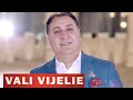 Download Lagu VALI VIJELIE - Nu suntem la fel (best of 2015)