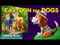 Lagu Dog Cartoon with Music: Entertainment DOG TV for Home Alone Dogs - Calming Cartoon \u0026 Relaxing Music