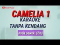 Download Lagu CAMELIA 1 - Karaoke Tanpa Kendang - Nada Cewek (Em)