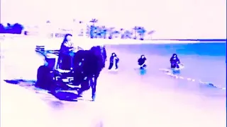                      دندنها