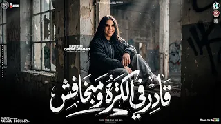 قادر في الكتره   حسبتها صح لما مشيت   خلود محمد الجديد   ترند التيك توك   مواويل شعبي      دندنها