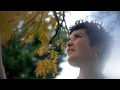 Chris Reece - Roisin