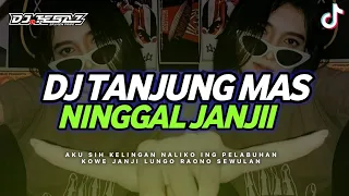 Download DJ Tanjung Mas Ninggal Janji - Mengkane Full Bass Viral Tiktok || DJ Tebaz MP3