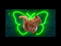 Dancing tiktok squirrel