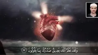 ولقد نعلم أنك يضيق صدرك بما يقولون الشيخ محمد صديق المنشاوي 