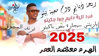 مجوز ناار الهرم معتصم العمر 2025 ريحة ذبايح دوم معبية بيتو ترند المجوز 2025 
