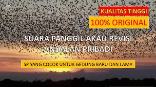 Download SUARA PANGGIL AKAU 2014 BIRAHI+++ MP3