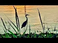 Call Me If You Miss Me - Max McNown
