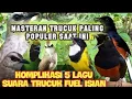Download Lagu Masteran Trucukan Paling populer dengan isian full 5 lagu terbaik❗MUDAH DI TIRUKAN.