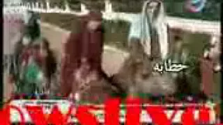 يخربيتك ياوطفي    دندنها