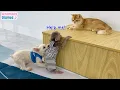 Download Lagu لبيك اللهم لبيك | تكبيرات العشر من ذي الحجة |تكبيرات يوم عرفه-تكبيرات عيد الأضحى🌷💛