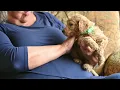 Gopher five week interview