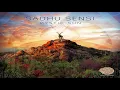 Download Lagu Sadhu Sensi - Mystic Sun [Full Album] ᴴᴰ
