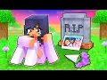 The END of APHMAU