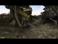 Morrowind exe - Speed at 100 no carry weight