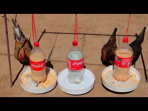 Download MP3 Como hacer bebedero y comedero para gallinas pollos y gallos con botellas de coca cola reciclados.