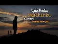 Download Lagu Agnes Monica - Matahariku ( Cover Dimas Senopati)|| lirik lagu