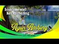 Download Lagu Endang Sukandar - Sundanese Instrumental Kacapi Suling - Ayun Ambing