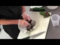 ArtParty Home Restaurant Feature Chef Raymone Catering with Chef Wade - Roasted Beet Salad