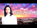 Download Lagu Rina Anita - Bukan Aku Cemburu (Official Lyric Video)