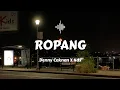 Download Lagu ROPANG | DENNY CAKNAN X NDX ( LIRIK)