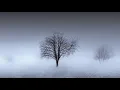 Wintertime - Steve Miller Band