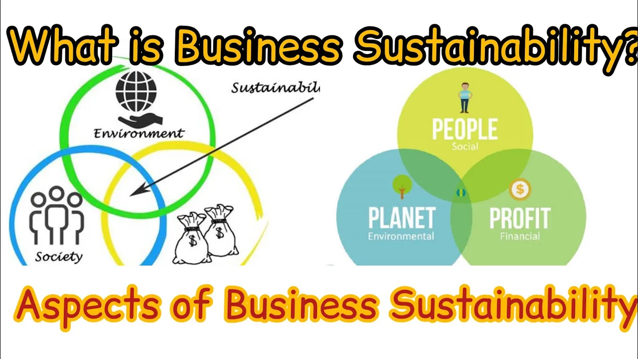What is Business Sustainability? Aspects of Business Sustainability. By Badar Farooq