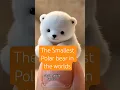 Download Lagu The World's Smallest Polar bear  movements are very adorable 😍😱 #trending #cute