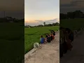 Lagu story' nyore di sawah
