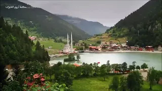 سورة النمل  قرآن   اسلام صبحي دندنها