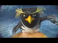 Lagu (Tá Dando Onda) - Cadu Maverick - Eu Nunca venci Nada Na Vida |