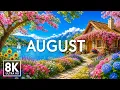 August 2026 Summer Wildflower Paradise in 8K Vibrant Blooms Peaceful Nature Escape