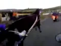Michele Magliocco - Tempesta Scuderia Salvuccio Catania