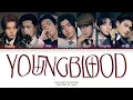 Download Lagu [AI COVER] How Would ENHYPEN sing Youngblood by 5 Seconds Of Summer (Color Coded Lyrics)