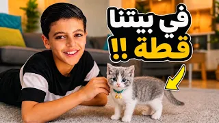 في بيتنا قطة !! A Cat in Our House