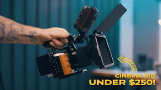 An AMAZING ZVE10 Cinema Rig Under 250
