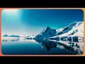 Download Antarctica: Journey Into The White Desert! | Real Wild mp4 3gp mp3 videos - waplic