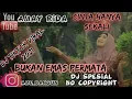 Download Lagu Dj Cinta Hanya Sekali (Bukan Emas Permata yang ku pinta) / Dj tiktok Viral 2021 (no Copyright)