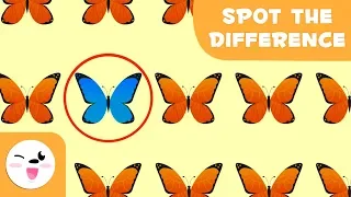 Guess the odd one out - Visual attention skills for kids