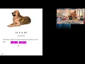 Mursion Presentation 2