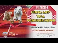 Albuquerque Animal Welfare Department hosts Final Lap to a Forever Home