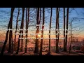 Anuel AA, Haze - Amanece (Letra/Lyrics)