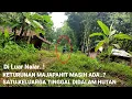 Download Lagu Keturunan Majapahit masih ada❓Satu keluarga tinggal di dalam hutan