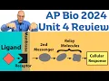 Unit 4 AP Bio Review Cell Communication Feedback and the Cell Cycle