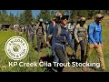KP Creek Gila Trout Stocking