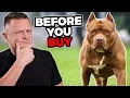 Download Lagu Is the PIT BULL Right For You?