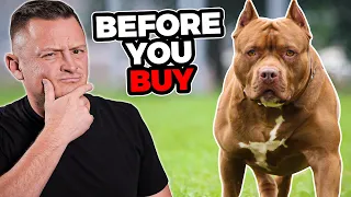 Is the PIT BULL Right For You