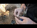 Can you live on a Mining Claim How long can you camp on a Mining Claim