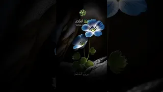 ماتيسر من سورة الجمعة القارئ اجزوني إبراهيم 